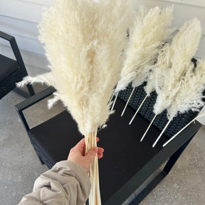 10 Stems Natural Dried Pampas Grass – Tall Fluffy Boho Decor for Home or Wedding Arrangements
