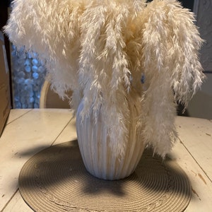 10 Stems Natural Dried Pampas Grass – Tall Fluffy Boho Decor for Home or Wedding Arrangements