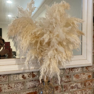 10 Stems Natural Dried Pampas Grass – Tall Fluffy Boho Decor for Home or Wedding Arrangements