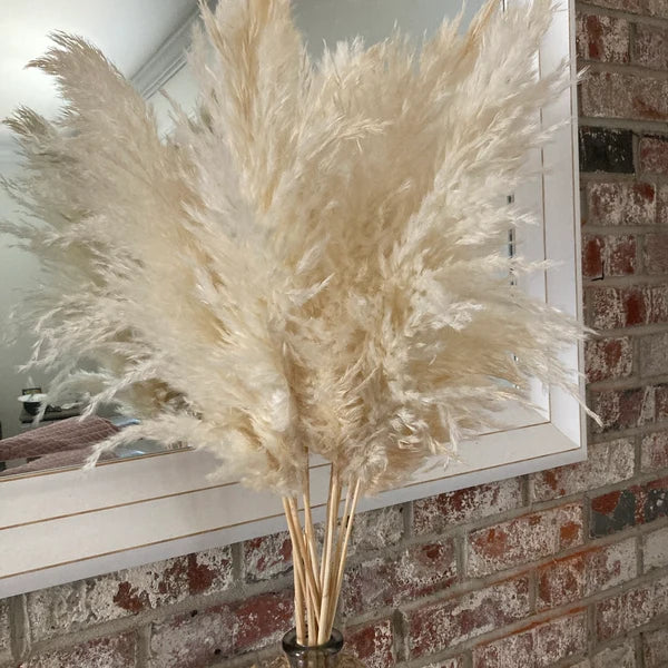 10 Stems Natural Dried Pampas Grass – Tall Fluffy Boho Decor for Home or Wedding Arrangements