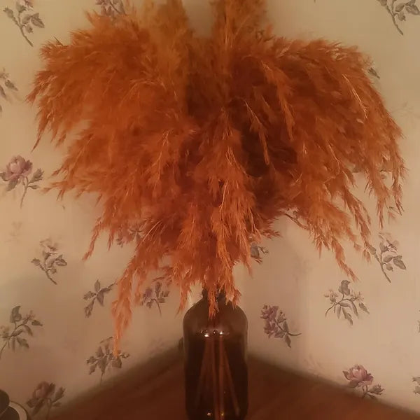 10 Stems Natural Dried Pampas Grass – Tall Fluffy Boho Decor for Home or Wedding Arrangements