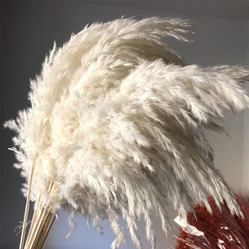 10 Stems Natural Dried Pampas Grass – Tall Fluffy Boho Decor for Home or Wedding Arrangements